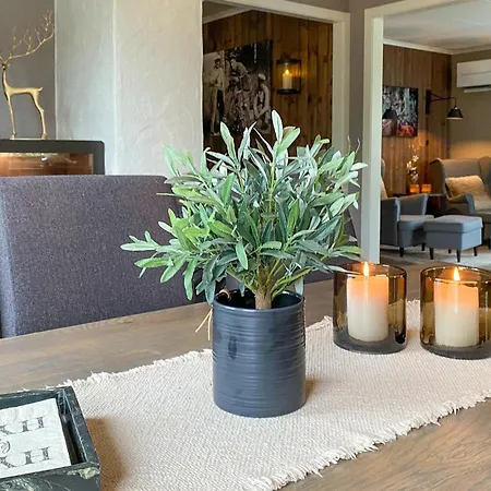 Cozy In With House A Panoramic View * Bjorli